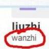 wanzhi