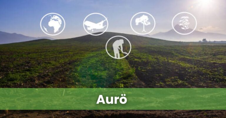 Aurö