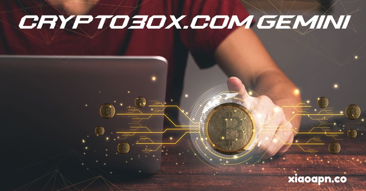 crypto30x.com gemini