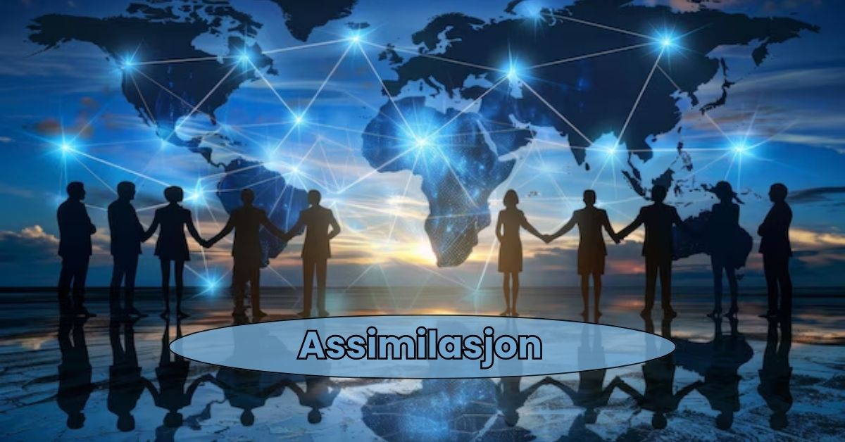 Assimilasjon
