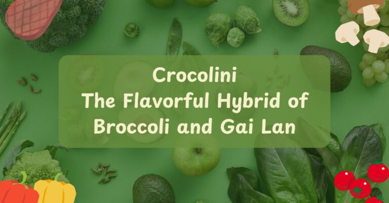 Crocolini