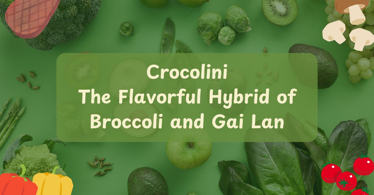 Crocolini