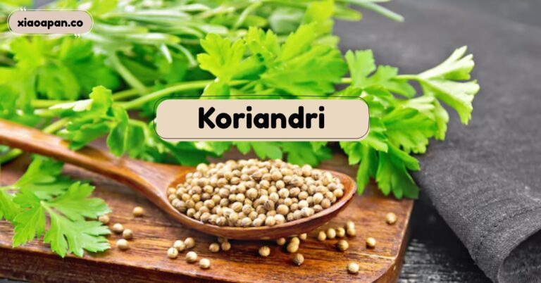 koriandri