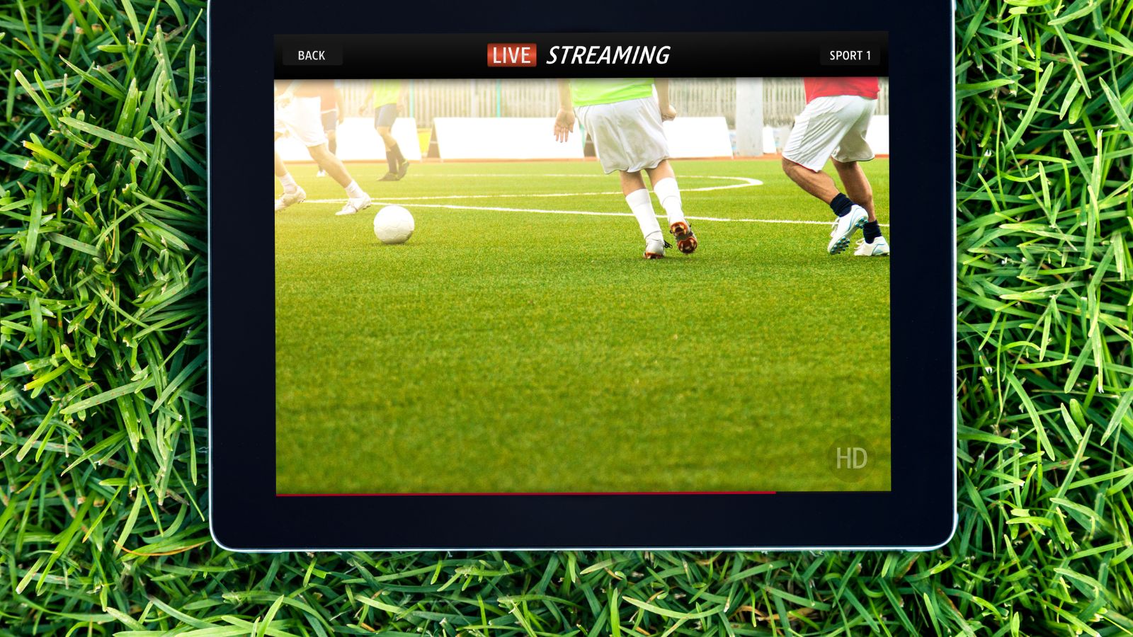 VipBoxTV: A Gateway to Free Live Sports Streaming