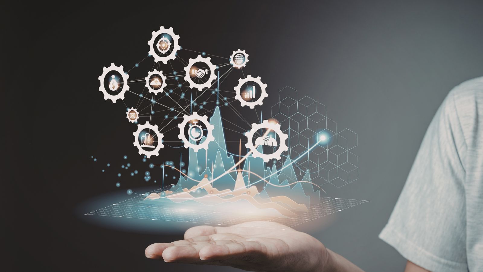 Acamento: A Complex Digital World